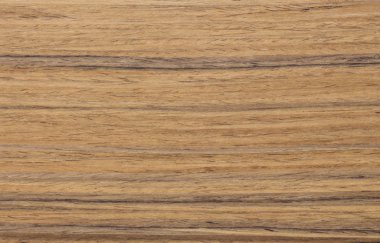 arka plan için bir kozalaklı makro ahşap doku