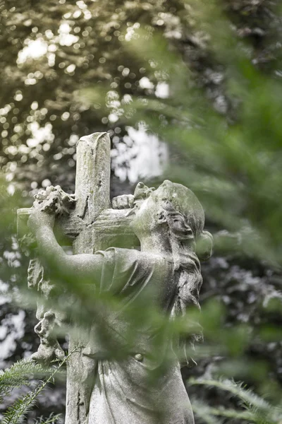 Maria s cross sochařství skrytý za některé listy — Stock fotografie