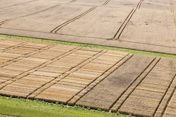 Agricultural trial fields in Mecklenburg, Germany — Stock Photo, Image