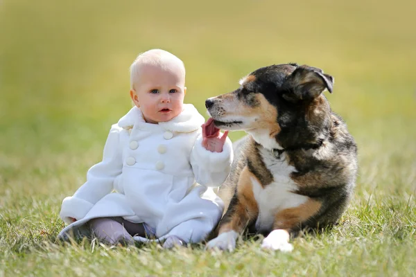 Değerli 1 yaşında bebek kız oturma dışında ile evde beslenen hayvan köpek — Stok fotoğraf