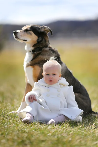 1 년 된 아기 여 자가 앉아 외부 애완 동물 독일 셰퍼드 개 — 스톡 사진