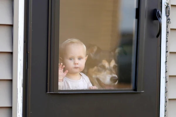 赤ちゃんとペット窓の外見ているドアで待っている犬 — ストック写真