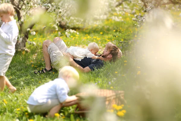 Отец и трое детей отдыхают на пикнике в цветочном саду — стоковое фото
