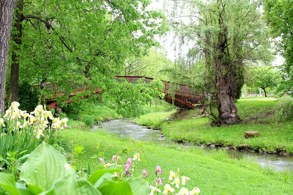 Walking Bridge over Small Stream in Park — Stock Photo, Image