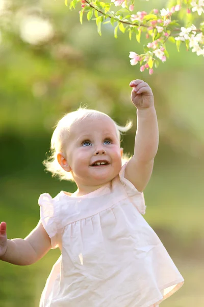 Adorável bebê menina no por do sol chegando para flor na árvore — Fotografia de Stock