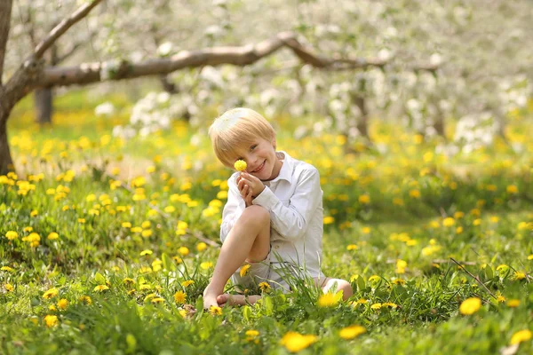 Doux petit garçon tenant fleur dans le verger — Photo