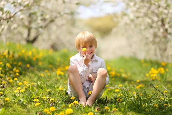 Menino doce segurando flor no pomar — Fotografia de Stock