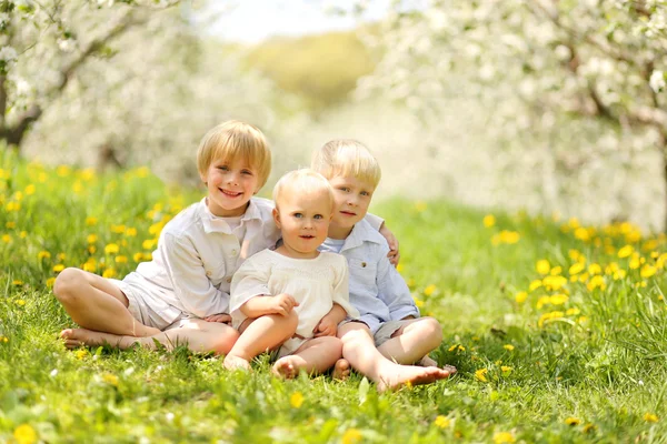 Drie schattige kinderen ontspannen in bloem weide en bomen — Stockfoto