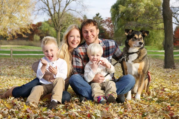 幸福的家庭，四人和狗在外面在秋天 — 图库照片