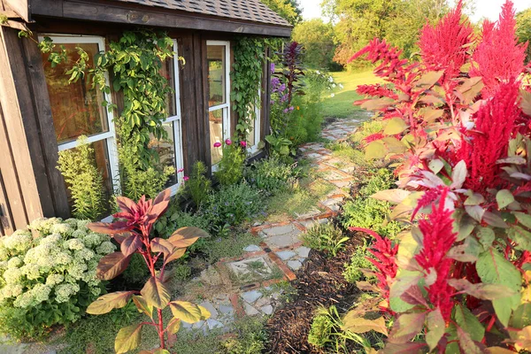 Kırsal Bir Kır Evinin Bahçesinin Renkli Çiçeklerinden Esen Kaldırımlardan Tuğlalardan — Stok fotoğraf