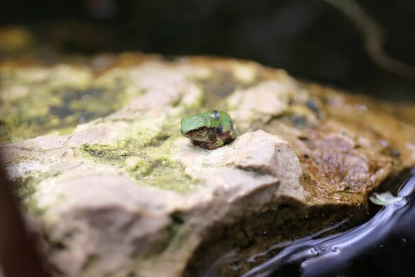 Cartera de Christin_Lola Imágenes, vídeos, música de stock | Depositphotos®