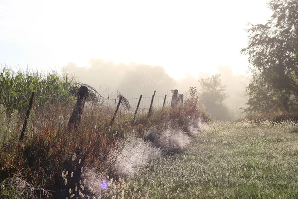 Camino del país cubierto de rocío en la mañana brumosa — Foto de Stock