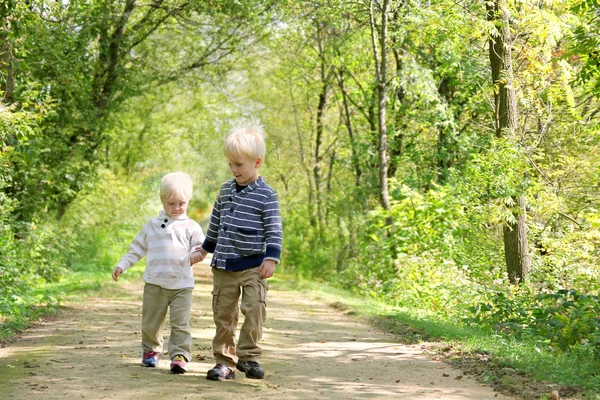 Händchenhaltend spazieren kleine Kinder in den herbstlichen Wäldern — Stockfoto