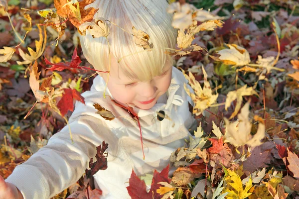 Niño pequeño jugando afuera con hojas caídas de otoño —  Fotos de Stock