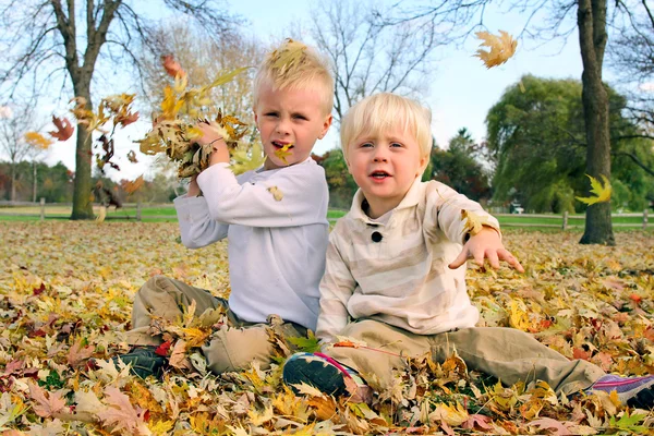 Två små pojkar spelar utanför kasta Fall blad — Stockfoto