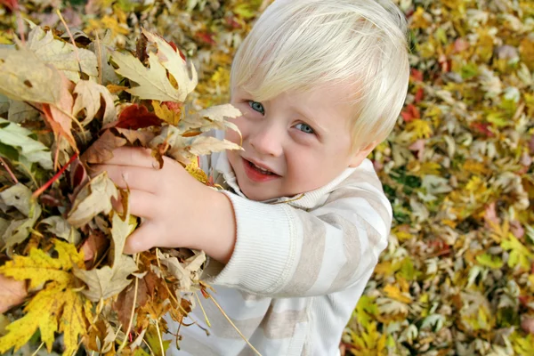 Niño pequeño jugando afuera con hojas caídas en otoño —  Fotos de Stock