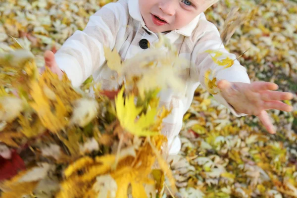 Jeune enfant jouant avec les feuilles tombées à l'automne — Photo