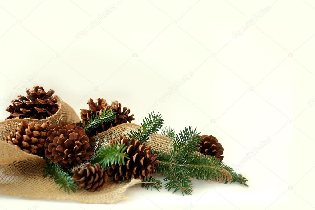 Christmas tree evergreen branches on a white background Stock