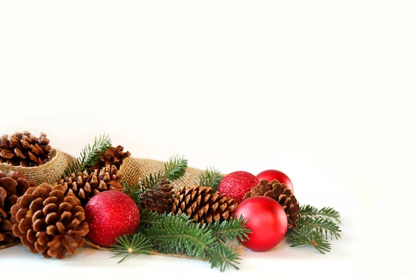 Christmas Bulb, Pine Cone, and Evergreen Border Isolated on Wit — стоковое фото