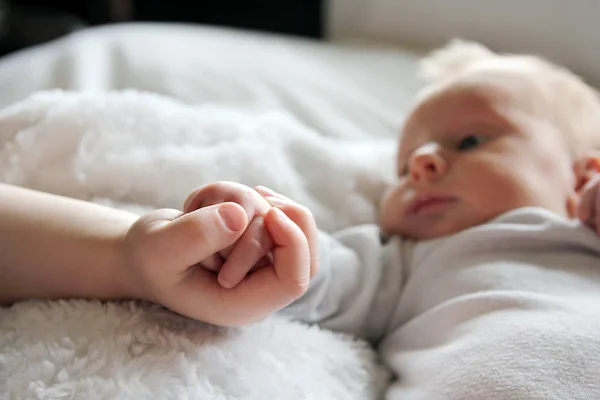 Bebê e irmão amorosamente segurando as mãozinhas — Fotografia de Stock