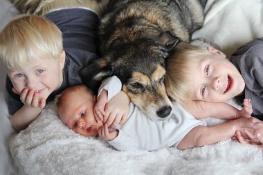 Üç mutlu küçük çocuklar ile evde beslenen hayvan köpek yatakta Snuggling