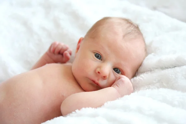 Newborn Baby Resting on White Blankets — Stock Photo, Image