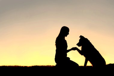Genç kadın ve evcil köpek günbatımında tokalaşırken silüeti