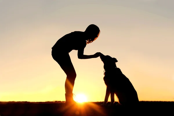 Mulher de alimentação Pet Dog trata silhueta — Fotografia de Stock