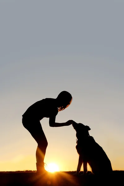 Femme nourrissant chien pour animaux de compagnie traite Silhouette — Photo