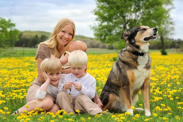 Annesi ve üç çocuk ve çiçek çayır oynayan köpek — Stok fotoğraf