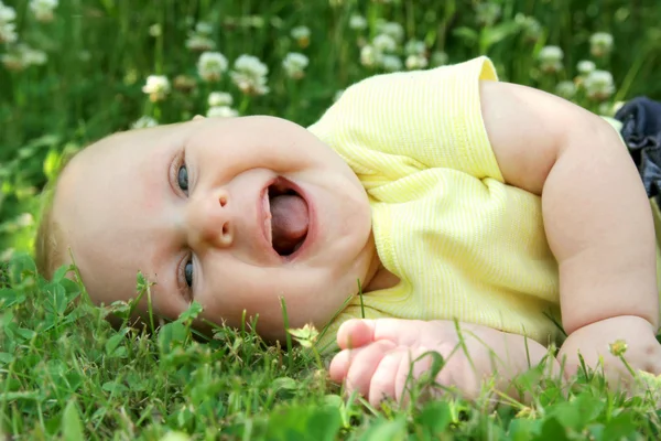 Gordito riendo bebé chica yaciendo fuera en flor prado — Foto de Stock