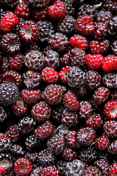 Große Sammlung an frischen schwarzen Mützen-Himbeeren lizenzfreie Stockbilder