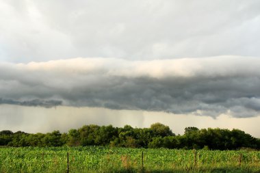Arcus raf fırtına bulutu Midwest Amerikan mısırı alanın üzerinde