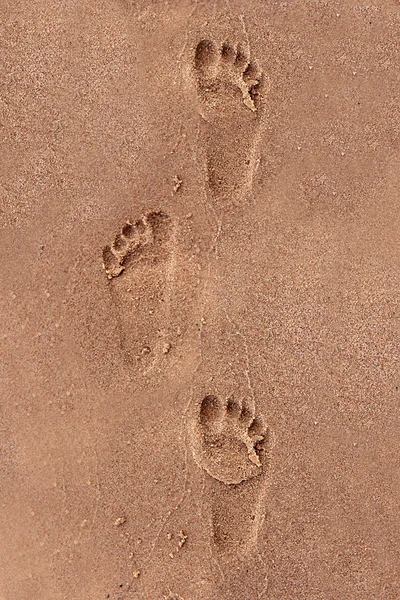 Impronte dei bambini a Sand at Beach — Foto Stock