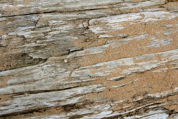 Antecedentes de madera sucia cubierta de granos de arena — Foto de Stock