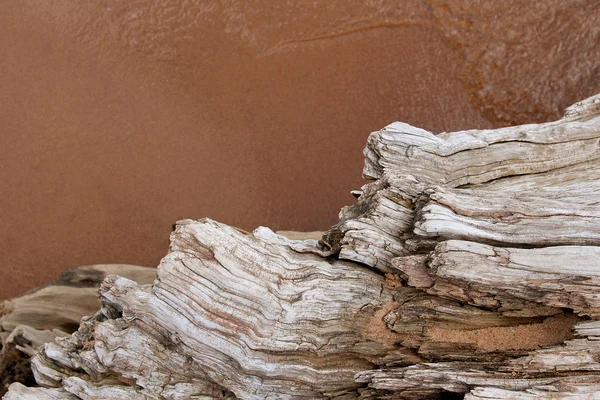 Skręcone Driftwood graniczących z plaży piasek — Zdjęcie stockowe