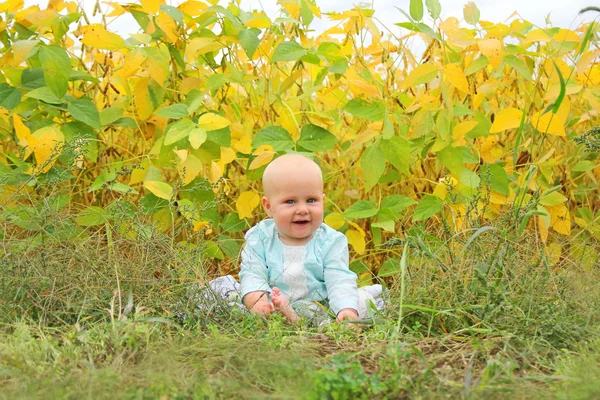 Bebê bonito fora na natureza no outono — Fotografia de Stock
