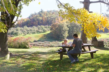 Father and Child Picnic under Trees at Apple Orchard