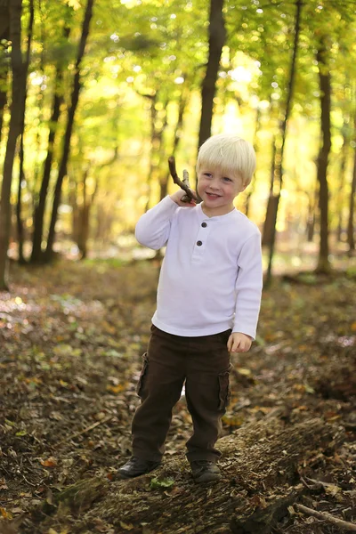 Niño pequeño jugando con palo en el bosque de otoño —  Fotos de Stock