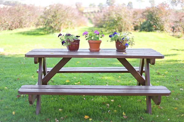 Wood Picnic Table with Flowers in Country — Stok fotoğraf