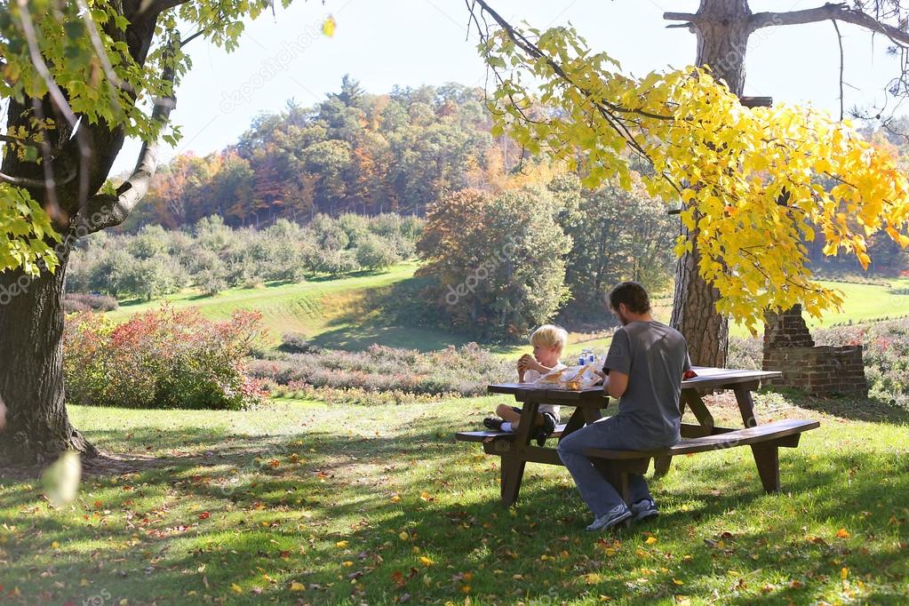 Father and Child Picnic under Trees at Apple Orchard