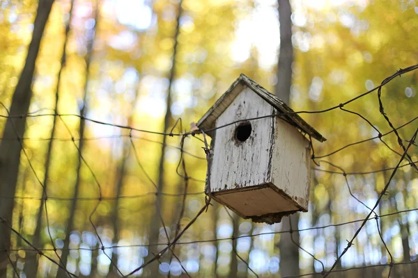 Old Homemade Birdhouse on Fence in Autumn Woods — Zdjęcie stockowe
