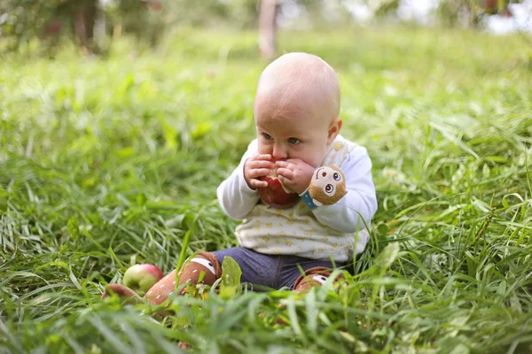 Bebé comiendo fruta en el huerto de manzana — Foto de Stock