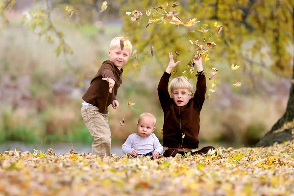 Drei kleine Kinder spielen in umgefallenem Laub — Stockfoto