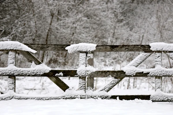 Porta de vedação de fazenda de madeira velha venerada na neve de inverno — Fotografia de Stock