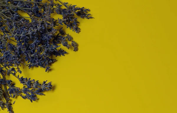 a bouquet of dried lavender flowers in close-up on a colored background. A bouquet of lavender flowers with dried flowers for decoration. top view, lots of empty space