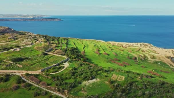 Widok Lotu Ptaka Zielone Pola Wzgórza Morze Malcie Morze Śródziemne — Wideo stockowe