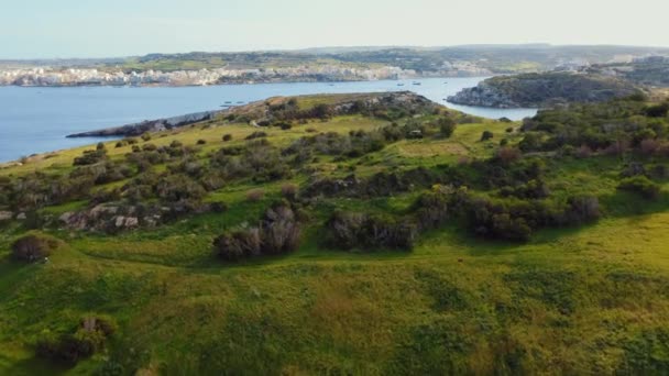 Вид Воздуха Зеленые Поля Холмы Острове Мальтийская Зима Голубое Море — стоковое видео