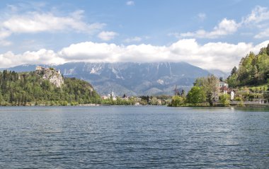 Slovenya 'da göl kanadı
