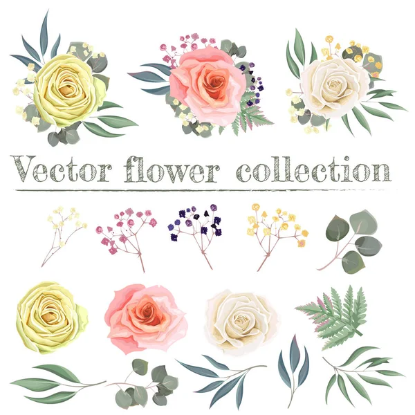 Conjunto de composiciones de rosas rosadas, blancas, beige, plantas y hojas verdes, eucalipto. Todos los elementos están aislados sobre un fondo blanco. — Vector de stock